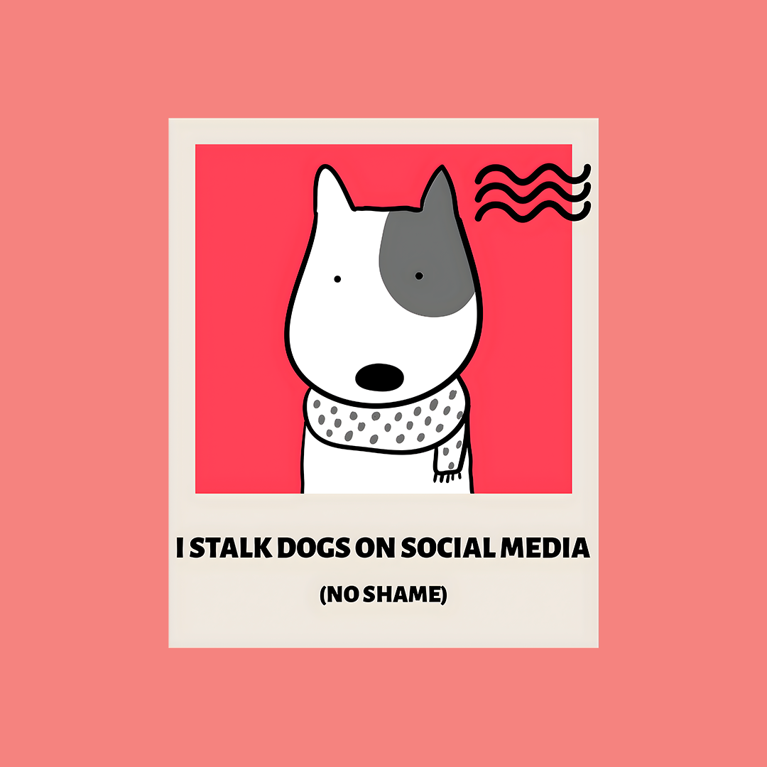 I Stalk Dogs